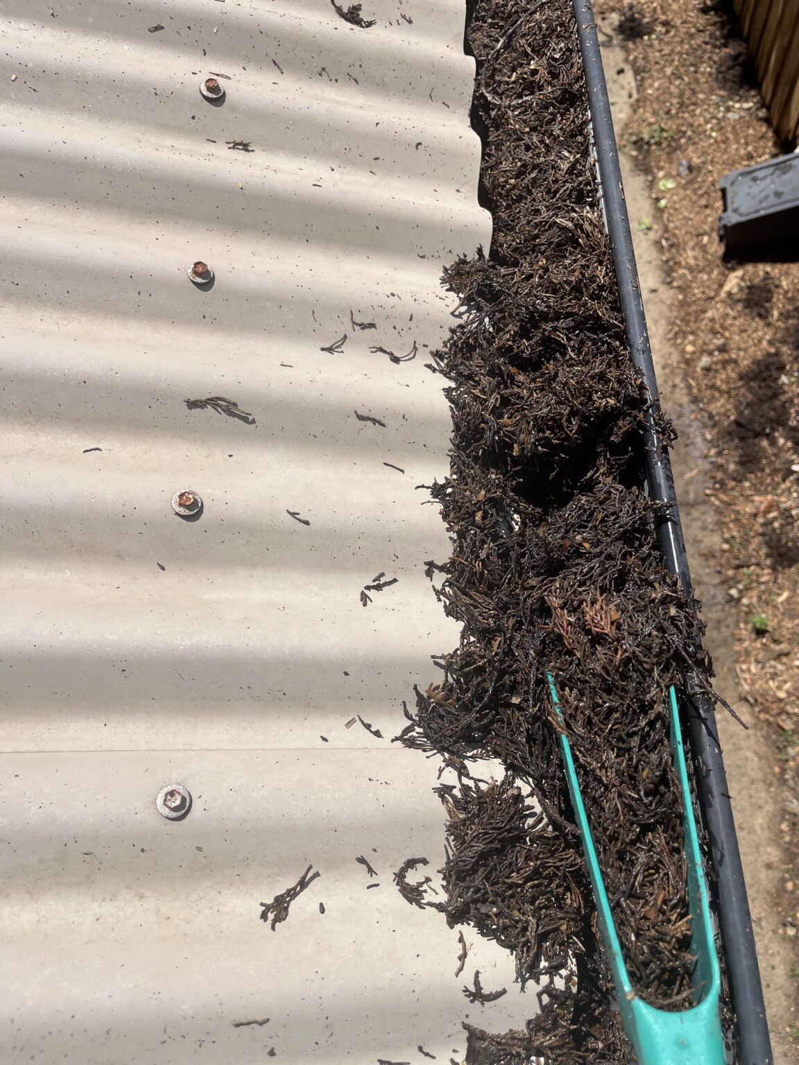 Clogged gutter full of debris and leaves