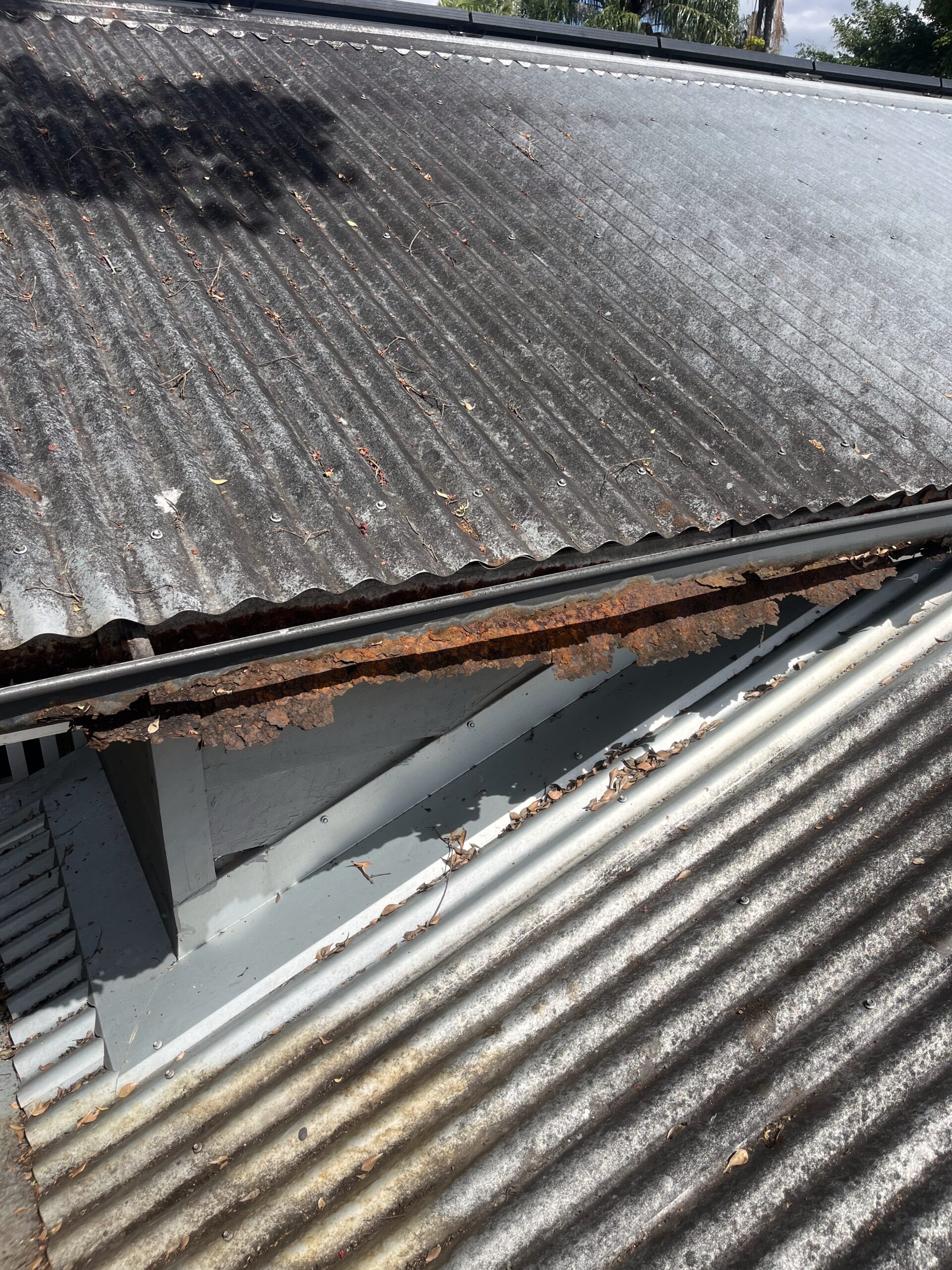 Roof before and after gutter cleaning
