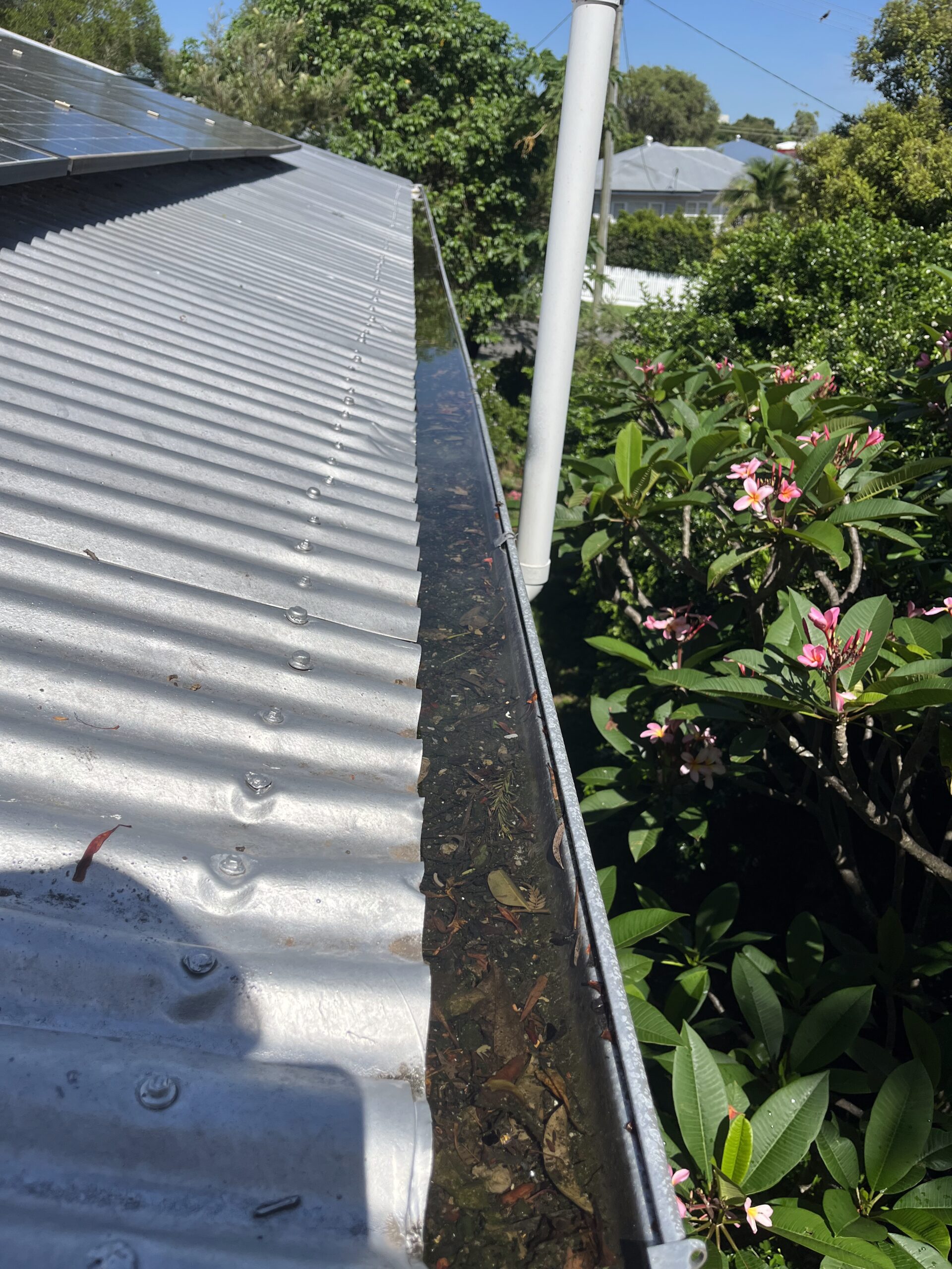 Dirty gutter needing cleaning